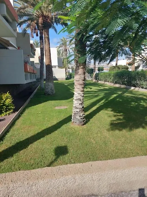 Lovely Apartment With Pool Costa Del Silencio