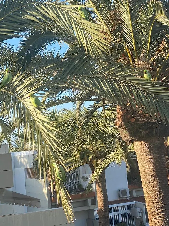 Lovely Apartment With Pool Costa Del Silencio Spain
