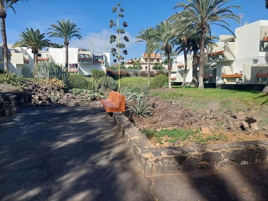 Lovely Apartment With Pool Costa Del Silencio